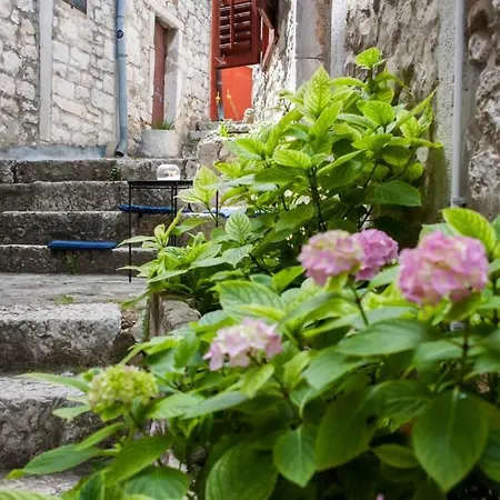 Rose Old Town *